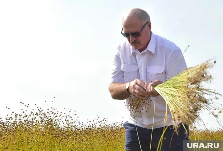 Александр Лукашенко заявил, что разбираться, кто виноват, нужно потом