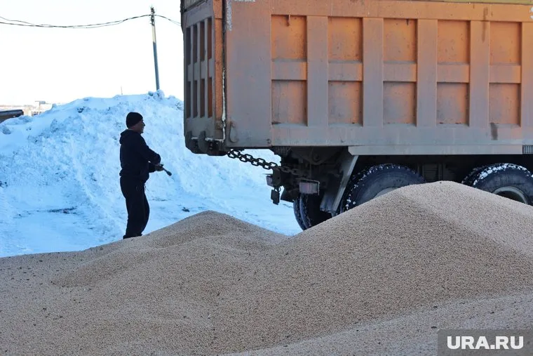 Курганские бизнесмены вывезли тысячи тонн зернобобовых культур высокого качества в Китай