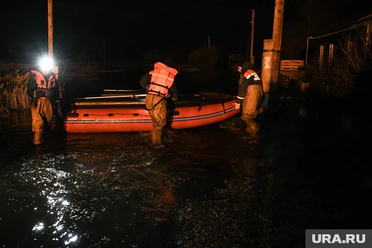 Специалисты доставили мужчину и собак в безопасное место