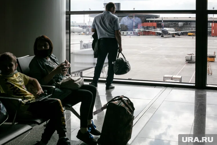 Банда в Шереметьево обокрала участников СВО на 4 миллиона рублей