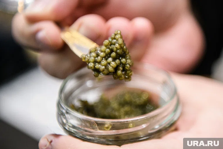 Икра направлена на экспертизу