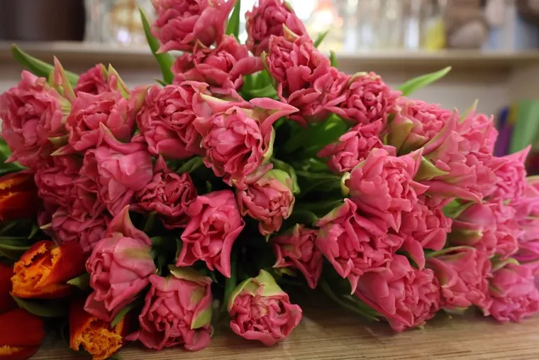 Салон цветов. Курган