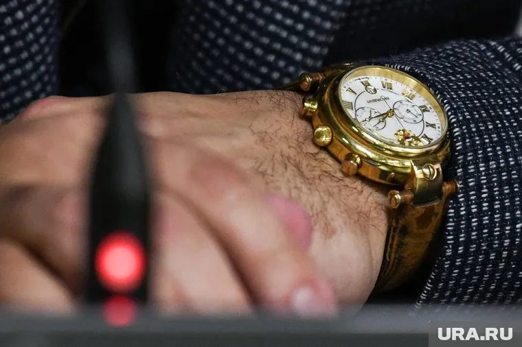 Депутатам посоветовали не позиционировать себя как «привилегированный класс»