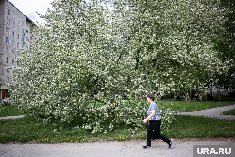 Погодные аномалии весной — неотъемлемая черта сезона