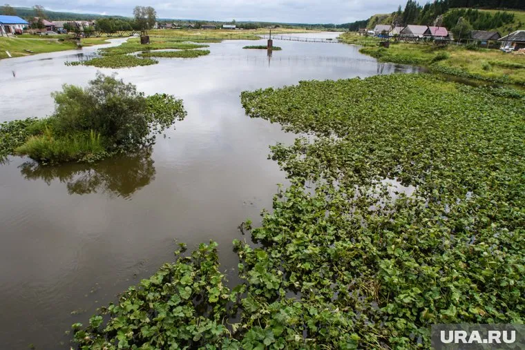Спа-комплекс планируют построить на берегу реки Чусовой