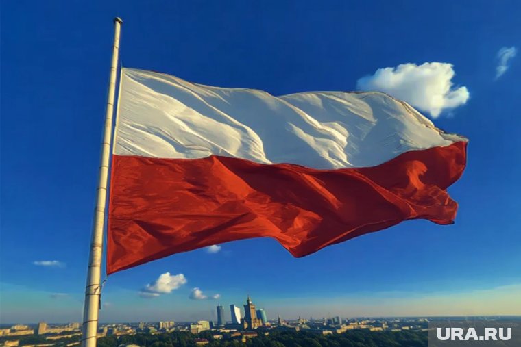 Варшава вышла на протесты из-за втягивания Польши в конфликт на Украине