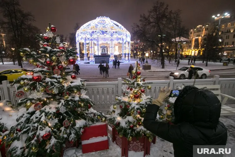 В Москве в новогодние каникулы оттепель сменится небольшими морозами, отметил Александр Шувалов