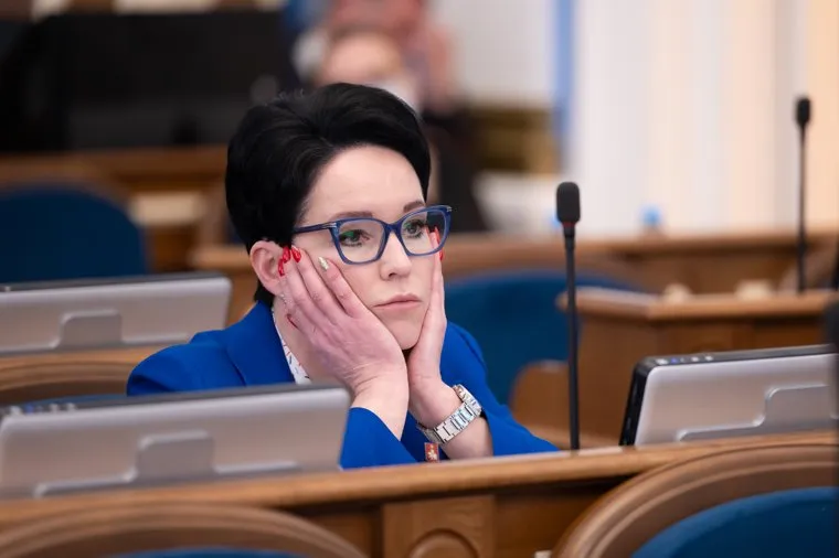 Двадцать восьмое заседание Пермской городской думы VII созыва. Пермь