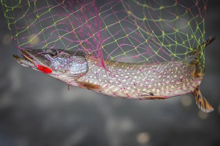 Свердловские зарисовки. Екатеринбург