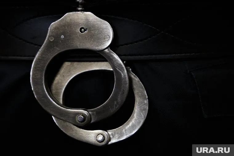 Убийце собак грозит до пяти лет лишения свободы