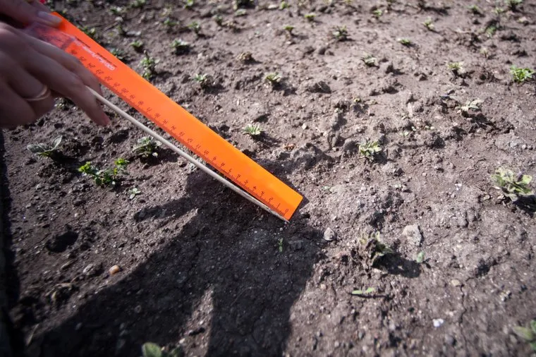 Замер губины земли на клумбах. Екатеринбург