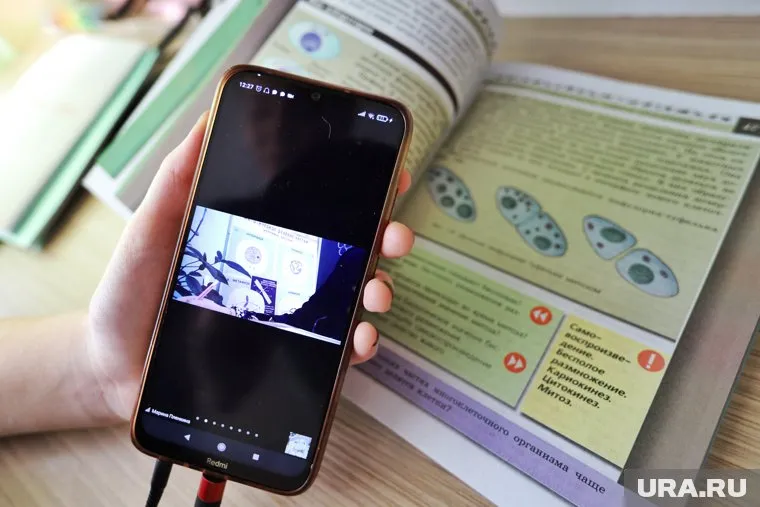 В Тюмени школьников перевели на дистант из-за высокого уровня заболеваемости ОРВИ