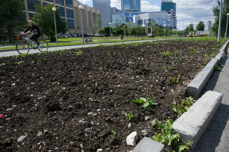 Неблагоустроенный Екатеринбург, октябрьская площадь, газон