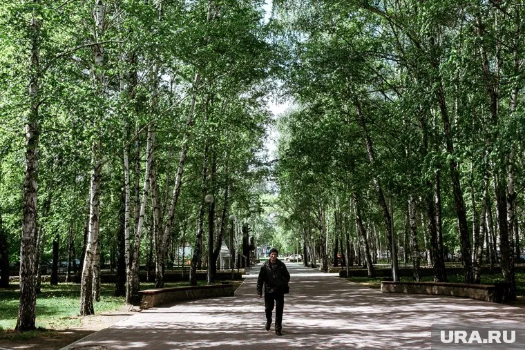 Голосование за проекты проходило с 21 апреля по 12 июня