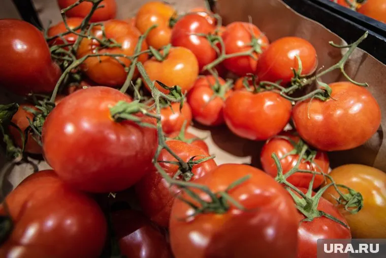 В ХМАО помидоры подорожали на 38 рублей
