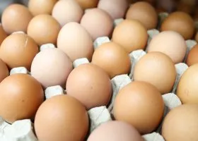В Тюмени цена на яйца опустилась до 88 рублей за десяток