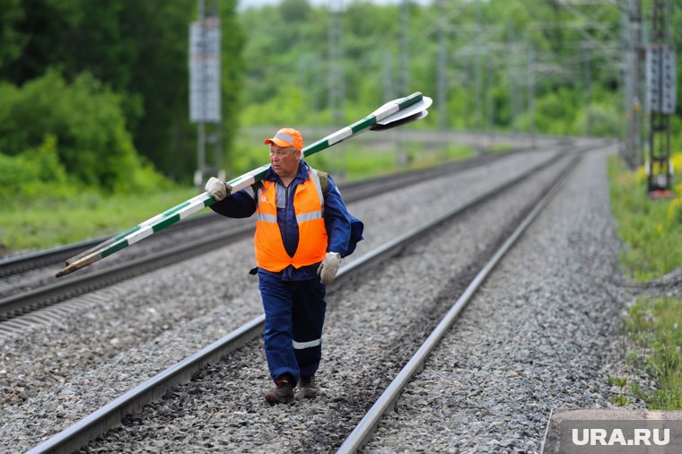 Магазины в России наполнят товарами из Ирана