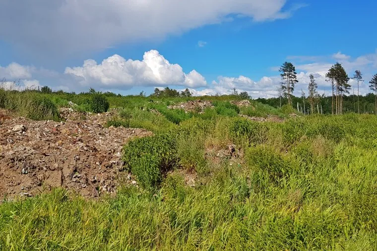 Шуховский полигон. Курган 