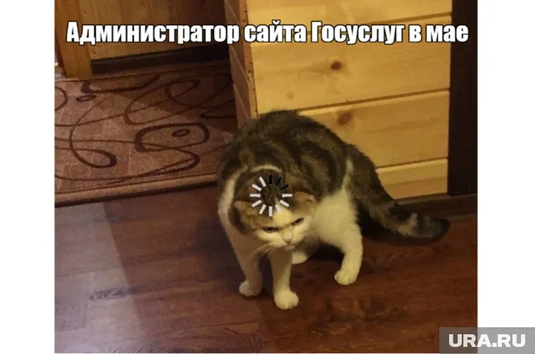 Сайт госуслуг упал, когда все кинулись получать пособия