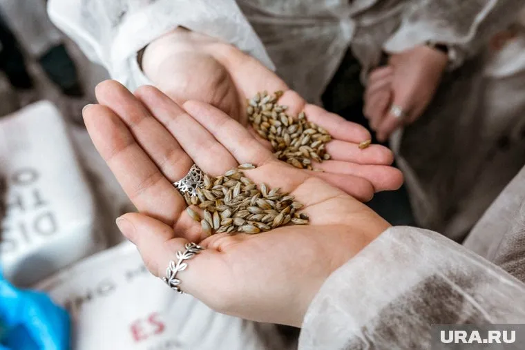 Вся экспортируемая продукция прошла положенные проверки (фото из архива)