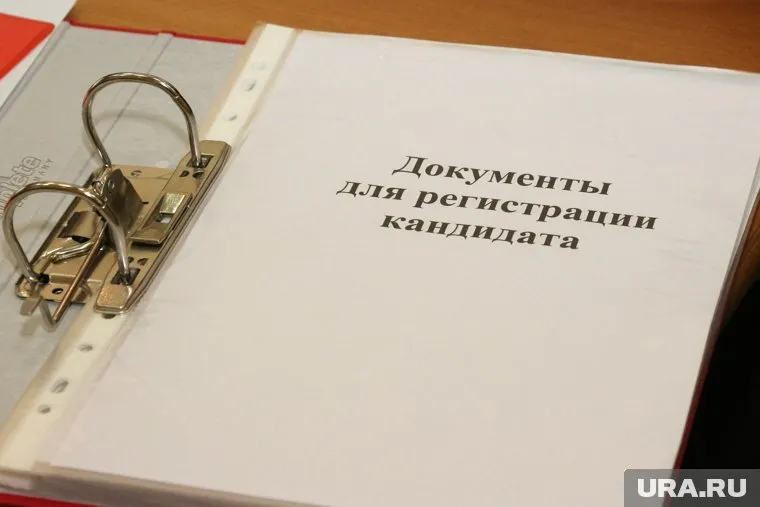 В Тюменской области работает 49,6 тысячи индивидуальных предпринимателей