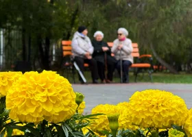 Власти Тюмени рассказали, кто сможет выйти на пенсию в 2026 году досрочно