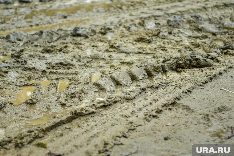 В Кургане дорога к школе превратилась в грязевую трясину