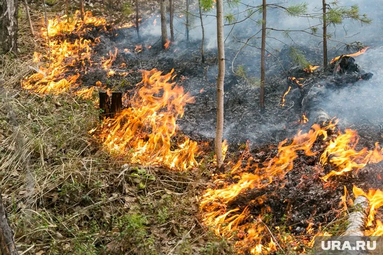 Читатели агентства сообщают, что горит трава в поселке Солнечный