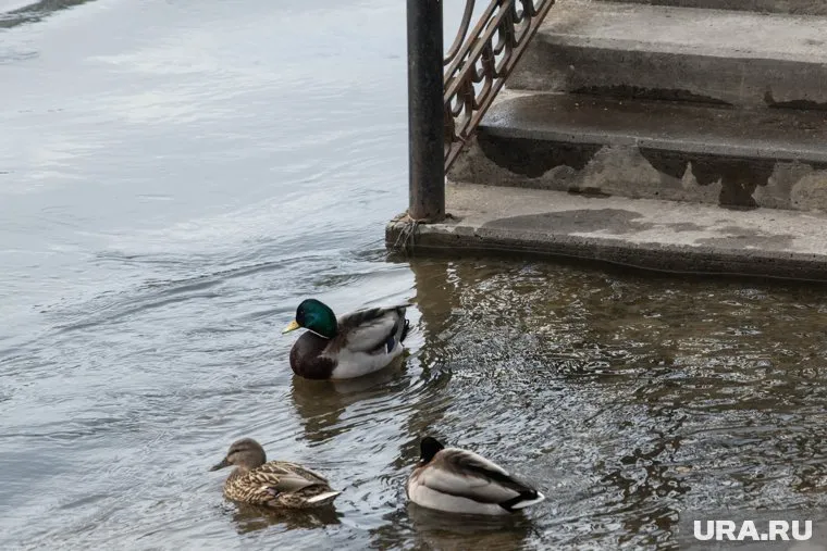 Что произошло на Ямале за день - в подборке информационного агентства