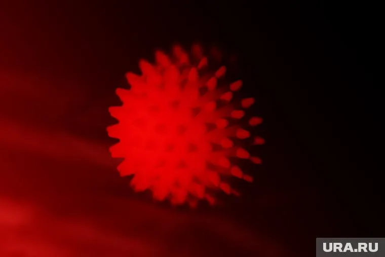 ВОЗ сообщила, что вероятность глобального распространения омикрон-штамма крайне высока