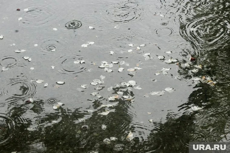 Дождь и ветер синоптики прогнозируют 23 сентября