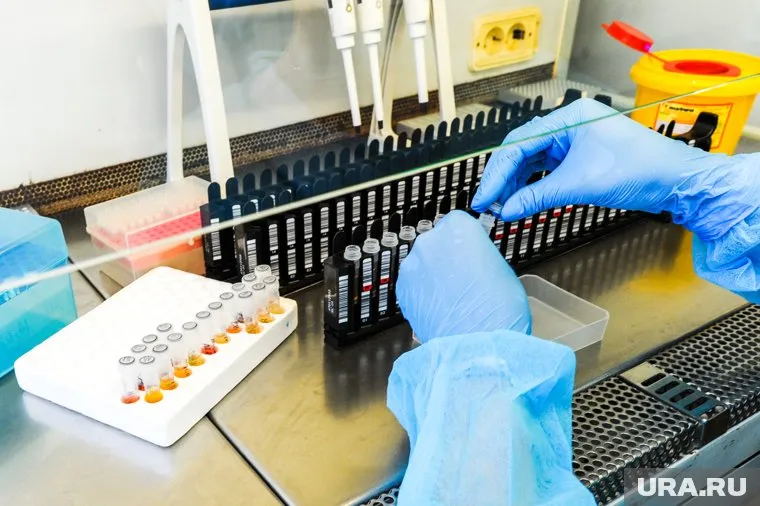 Ответственность за инцидент с химическим или биологическим оружием на Украине будет нести Россия, заявила Нуланд