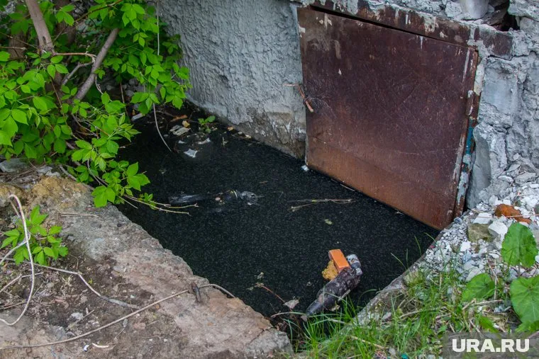 Управляющая компания месяц не занималась прорывом канализационной трубы (архивное фото)