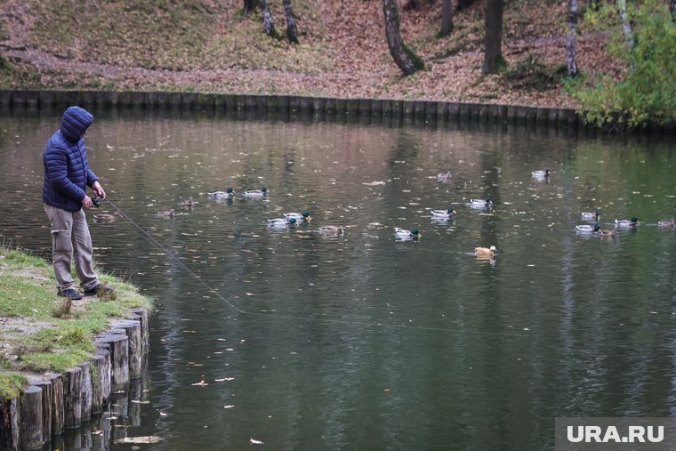 Голова в рюкзаке, а тела нет: в Москве расследуют загадочное убийство ребенка. Фото