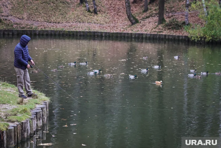 Ребенок был найден вблизи Гольяновского пруда (архивное фото)