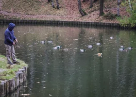 Фотография из галереи