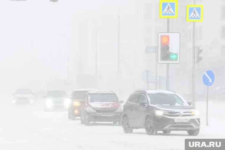 Умеренный снегопад будет идти всю неделю