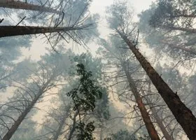 Фотография из галереи