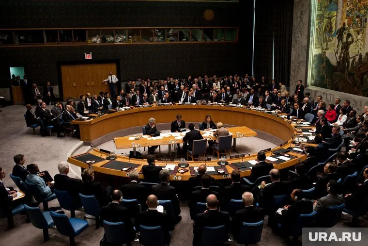 СБ ООН отклонил поправки РФ в проект резолюции Бразилии
