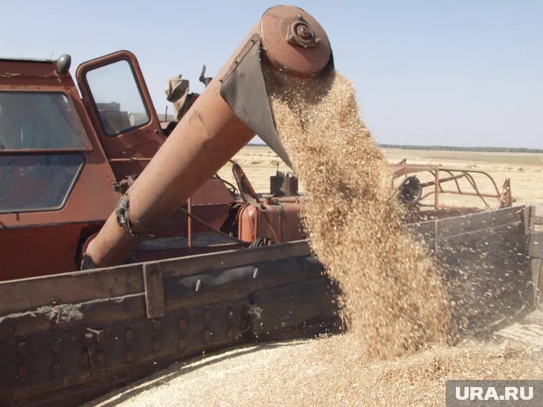Транспортировка зерна станет дешевле для некоторых регионов