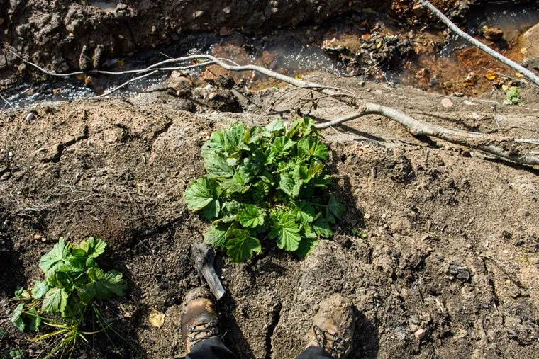 Место оползня после сентябрьского землетрясения 2018 года. Челябинская область, Катав-Ивановск