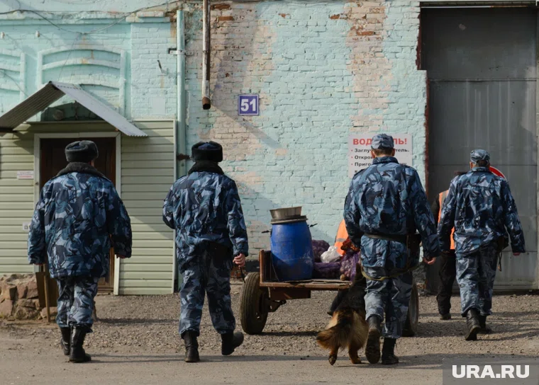Сестры Камшиловы покинули СИЗО в Шадринске
