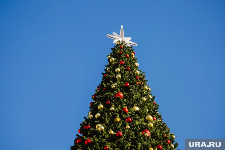 Подрядчик уже приступил к работам