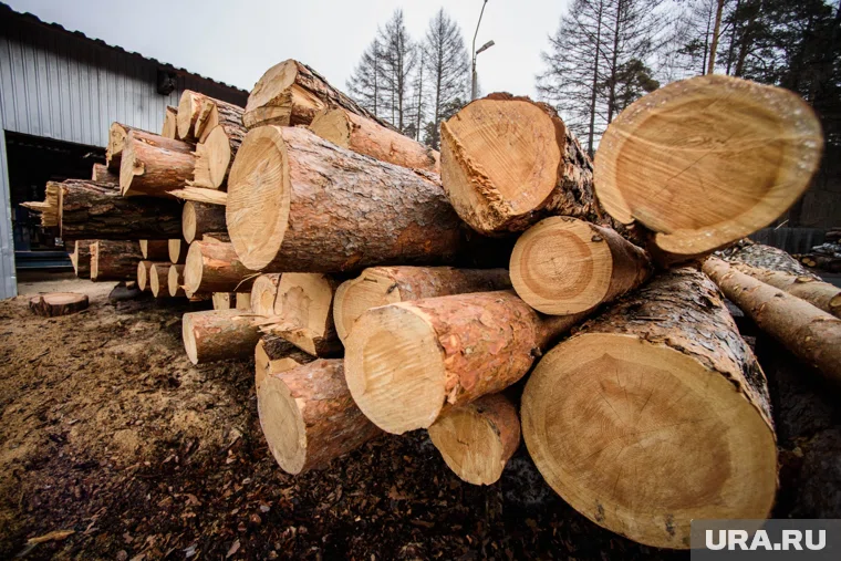 Одна из местных жительниц, у которой затопило вход в дом, решила не дожидаться действий властей