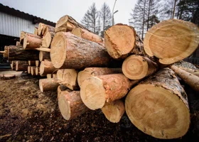 Пермячка, дом которой оказался затоплен, перекрыла дорогу в знак протеста