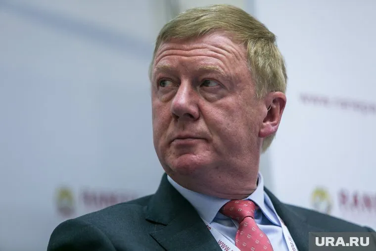 Анатолий Чубайс лишился бытовой техники