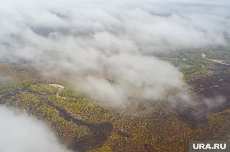 Деньги пойдут на обеспечение полевых работ