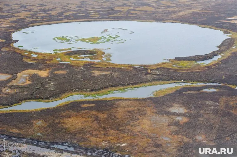 Будем сотрудничать и помогать в реализации проектов (А. Ситников)