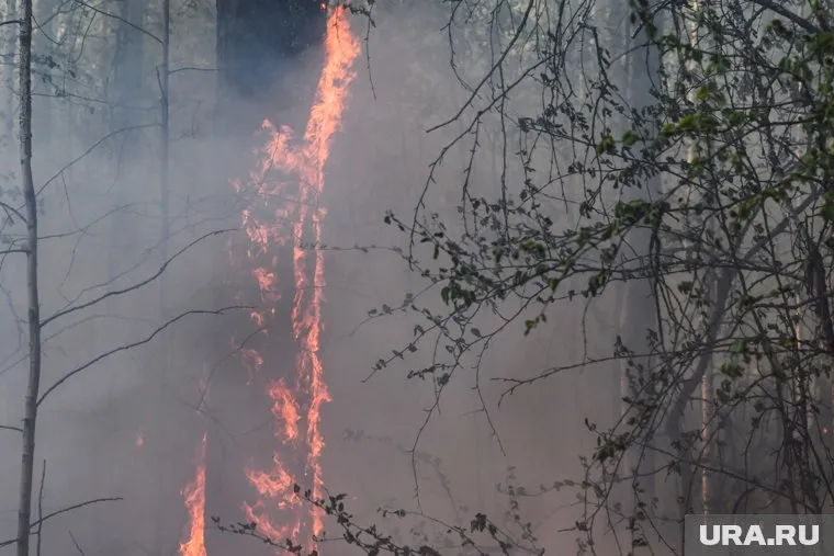 Возгорание началось в районе горного хребта Южного Урала