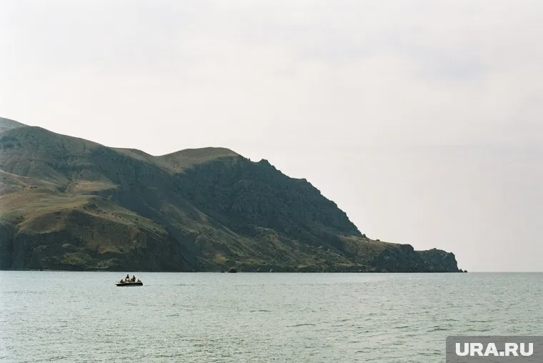 Миллионы крабов, рапанов, моллюсков и медуз погибли в результате крушения танкера